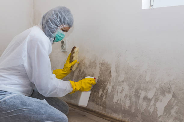 Best Mold Cleaning Services  in Huber Heights, OH